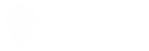 Behavior Bizz Logo-2